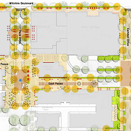 Starkey Ranch Blueberry Master Plan